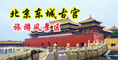 嗯啊啊大网站中国北京-东城古宫旅游风景区